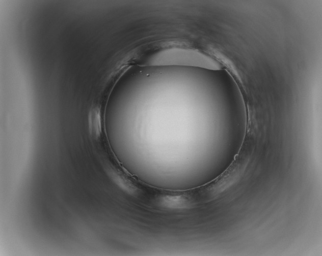 X0000113210061200909101140