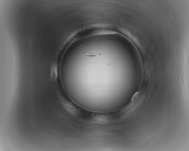 X0000113210062200909101140