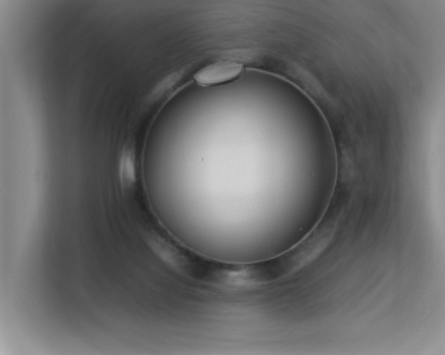 X0000113210068200909101140