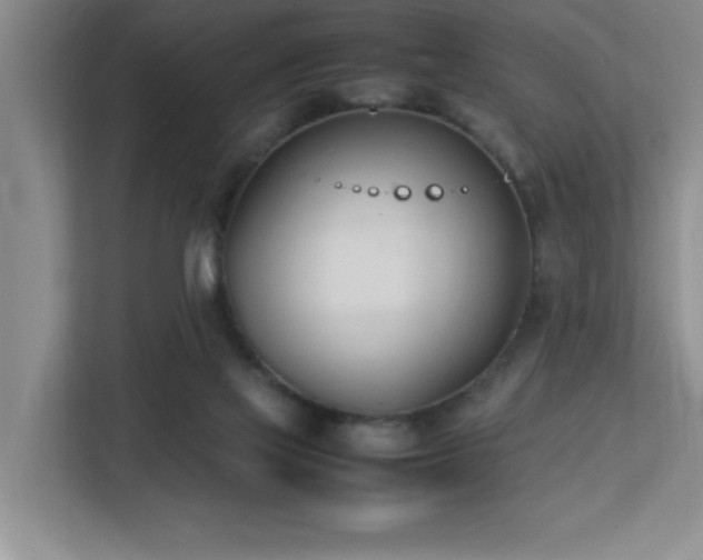 X0000113210069200909101140