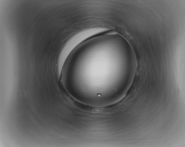 X0000113210080200909101140