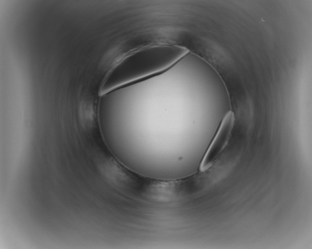 X0000113210084200909101140