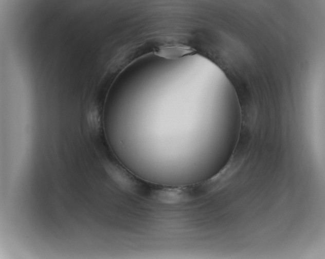 X0000113210086200909101140