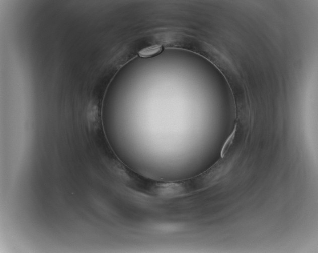 X0000113210087200909101141