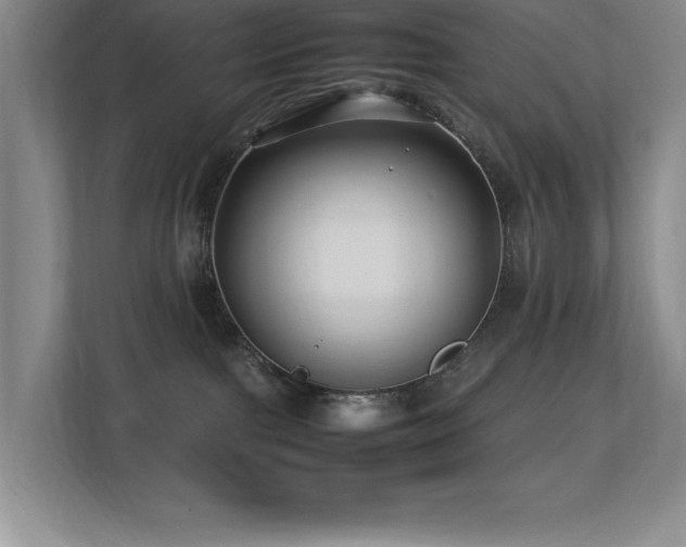 X0000113210091200909101141