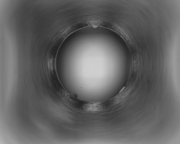 X0000113210093200909101141