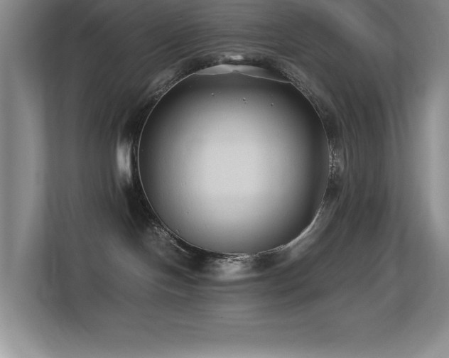 X0000113210094200909101141