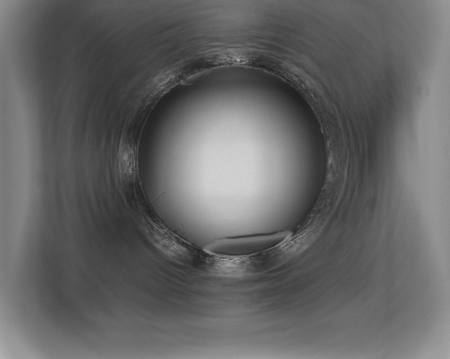 X0000113210096200909101141