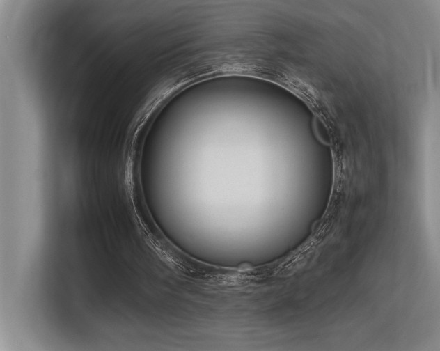 X0000113210098200909101140