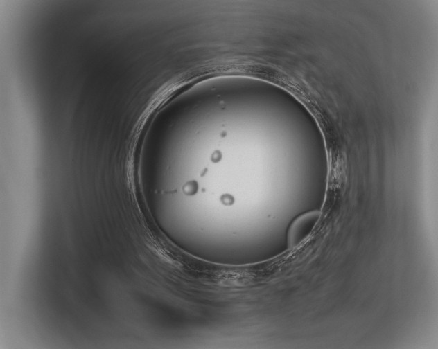 X0000113210099200909101140