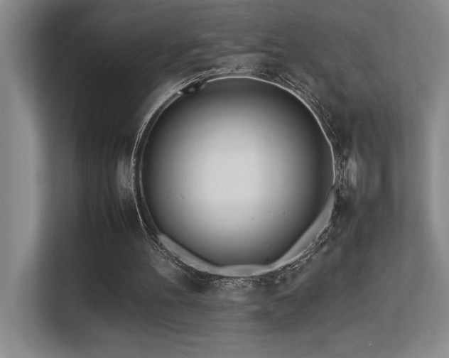 X0000113210100200909101140