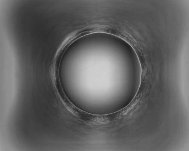 X0000113210101200909101140