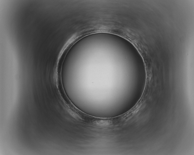 X0000113210102200909101140