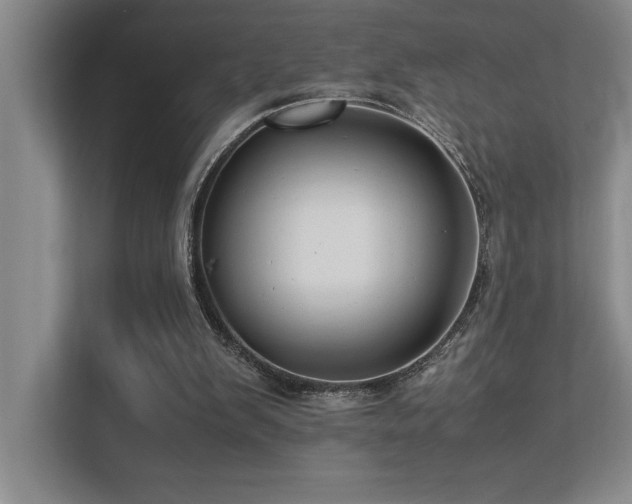 X0000113210103200909101140