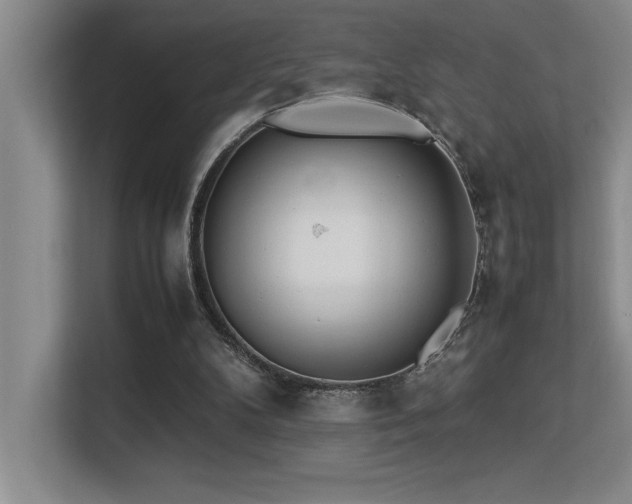 X0000113210104200909101140