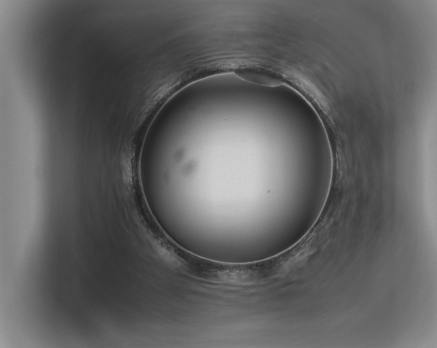 X0000113210105200909101140