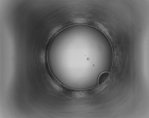 X0000113210106200909101140