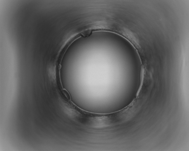 X0000113210108200909101140