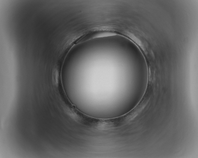 X0000113210109200909101140