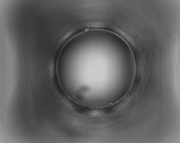 X0000113210111200909101140