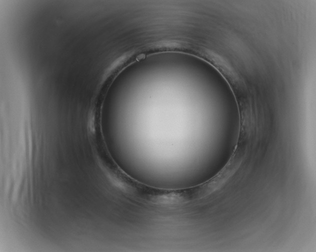 X0000113210112200909101140