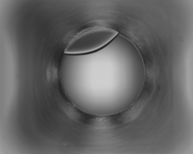 X0000113210117200909101140