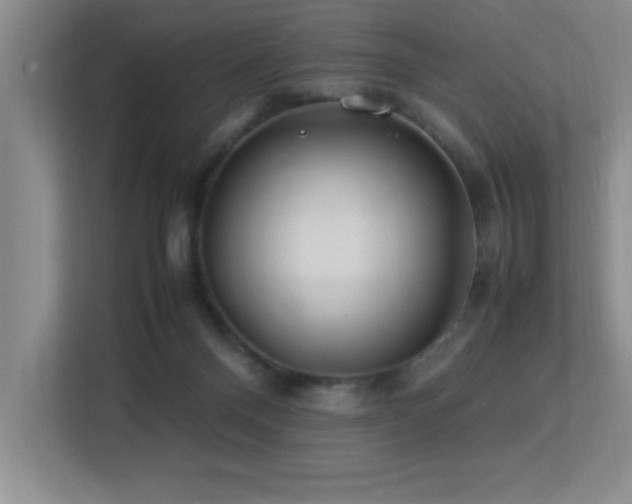 X0000113210120200909101140