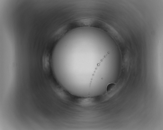 X0000113210122200909101140