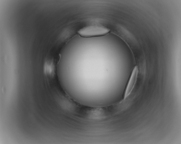 X0000113210124200909101140