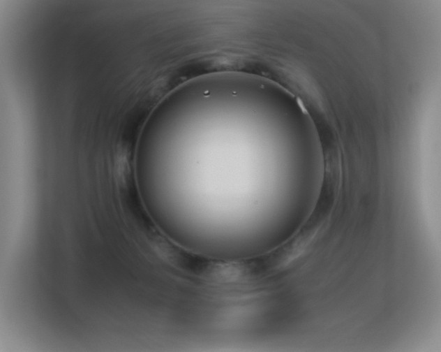 X0000113210127200909101140