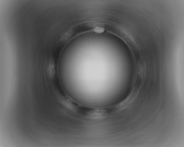 X0000113210128200909101140