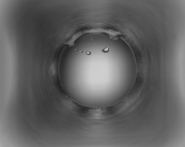 X0000113210131200909101140