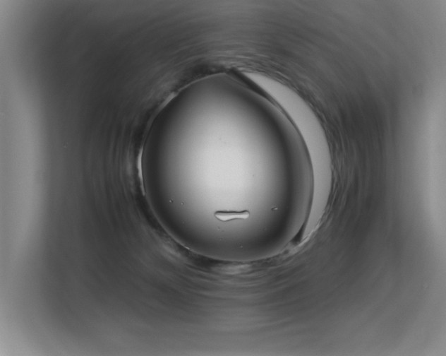 X0000113210132200909101140