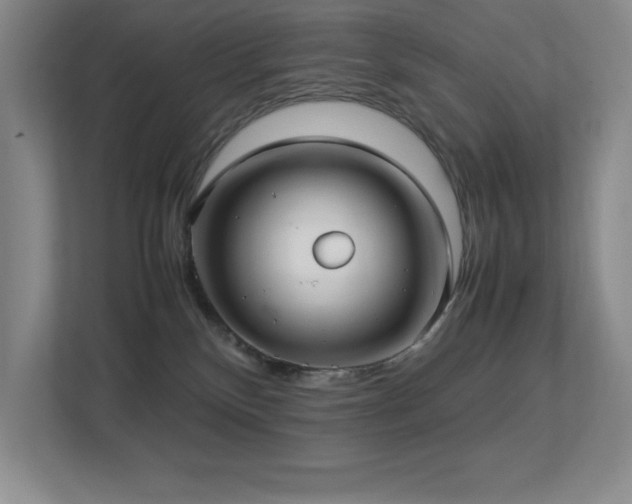 X0000113210136200909101139