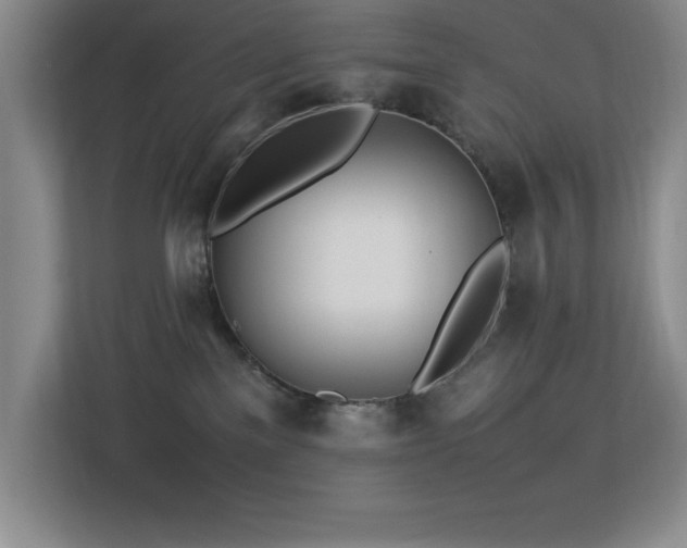 X0000113210137200909101139