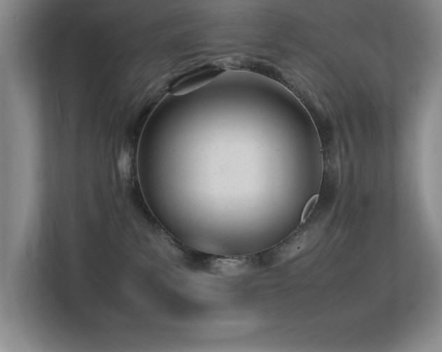 X0000113210139200909101139