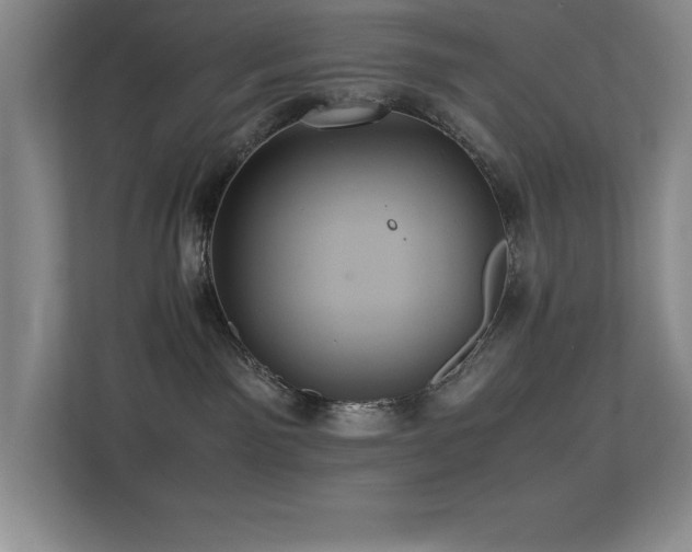 X0000113210141200909101139