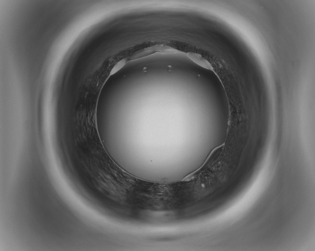 X0000113210143200909101139