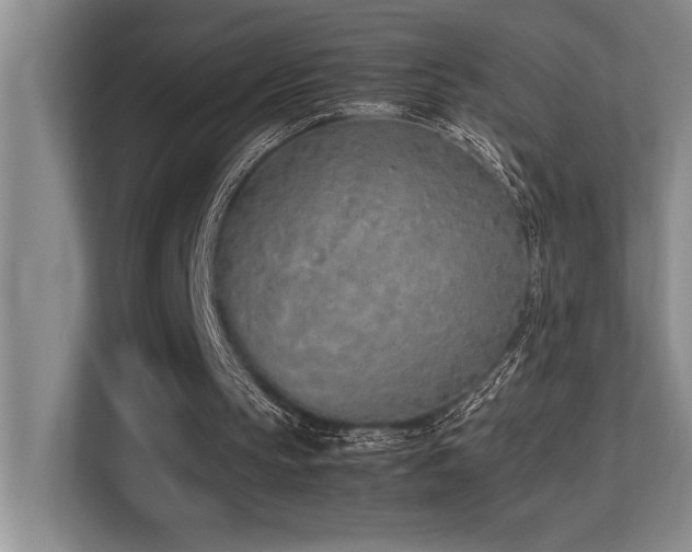 X0000113210145200909101139