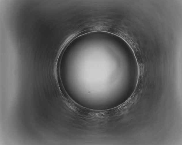 X0000113210147200909101139