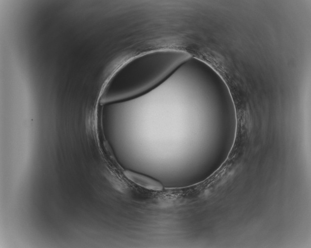 X0000113210148200909101139