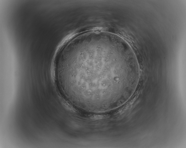 X0000113210149200909101139