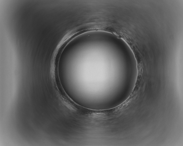 X0000113210150200909101139