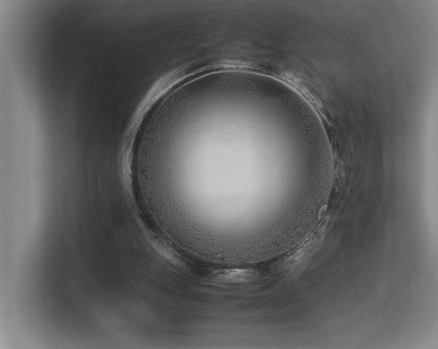 X0000113210151200909101139