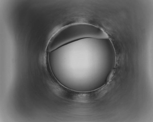 X0000113210152200909101139