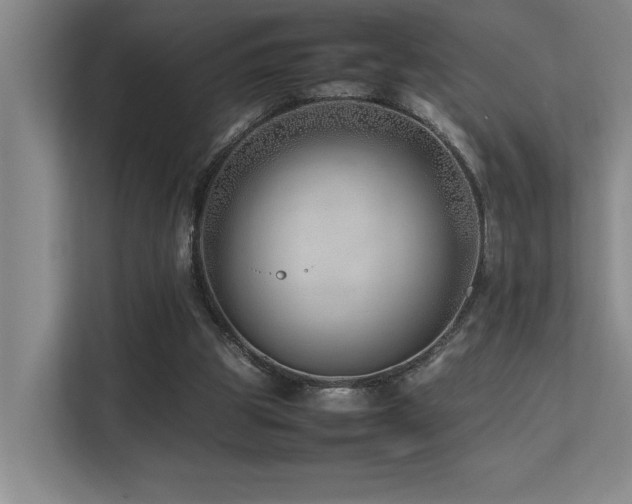 X0000113210153200909101139