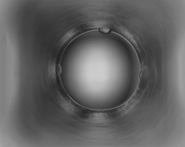 X0000113210154200909101139