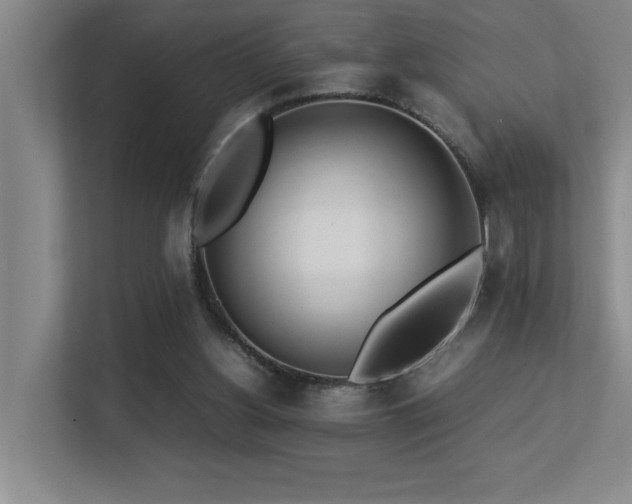 X0000113210156200909101139