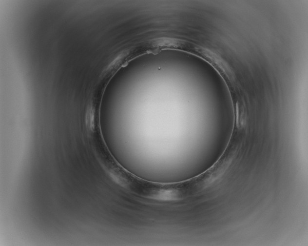 X0000113210157200909101139