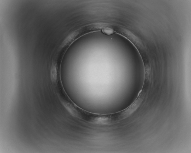 X0000113210158200909101139